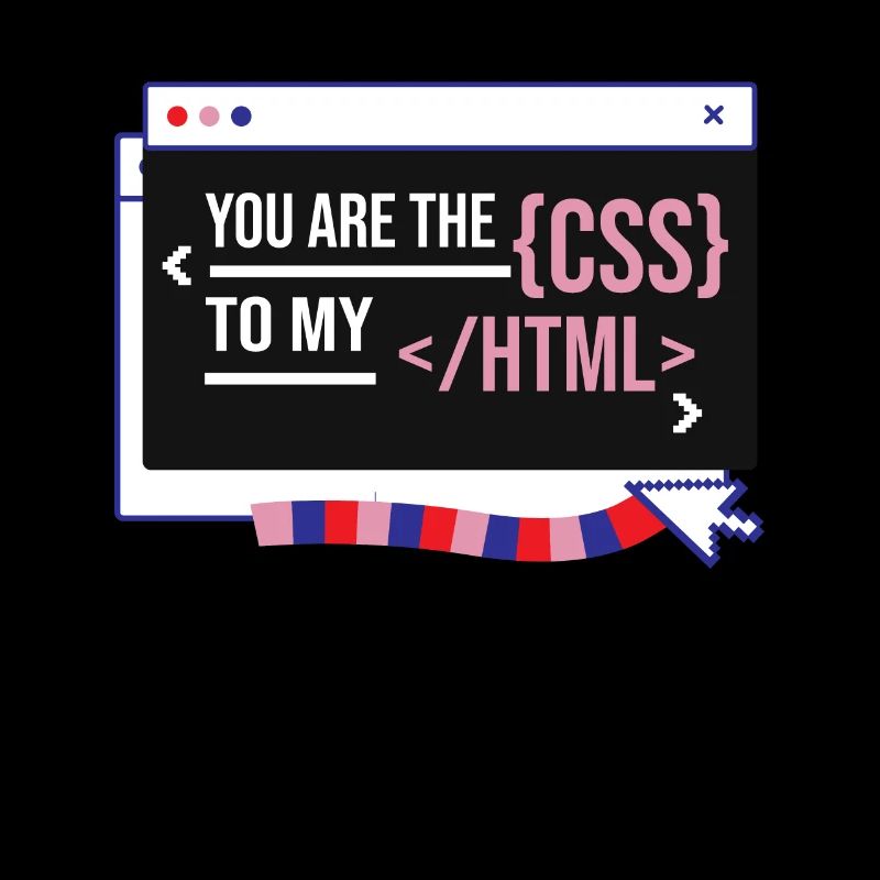 Software Developer Engineer