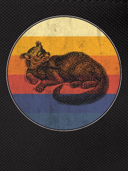 Binturong