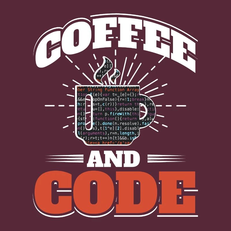 Software Computer Developer