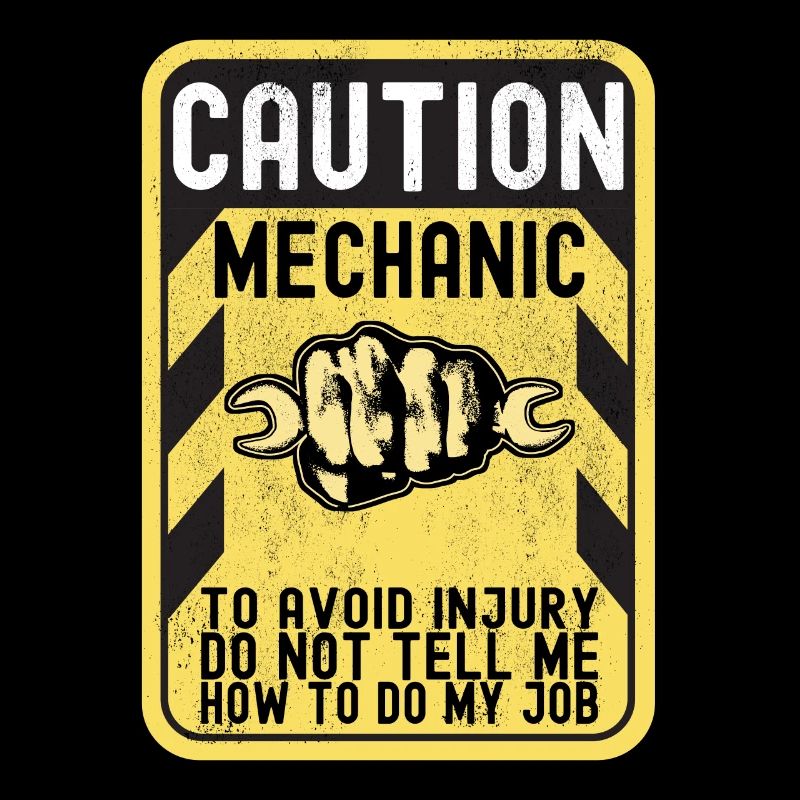 Car mechanic Mechatronics technician