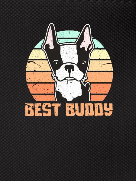 Boston Terrier