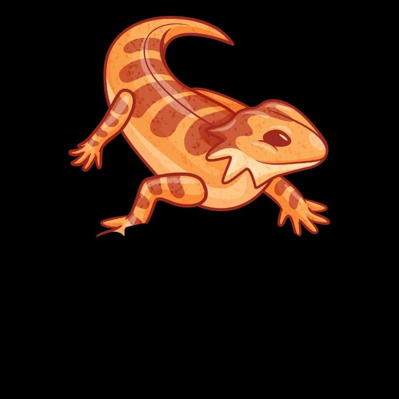 Bearded dragon Australia Terrarium Reptile