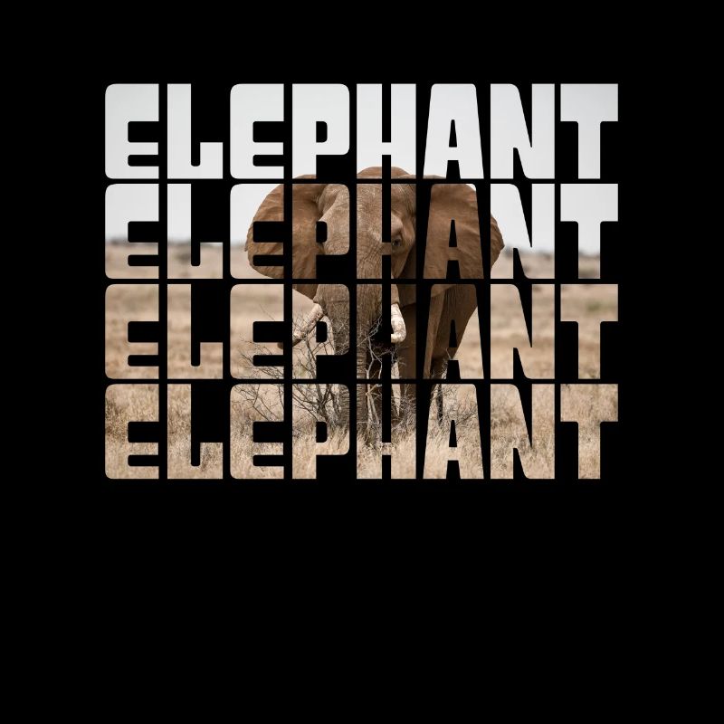 Éléphant