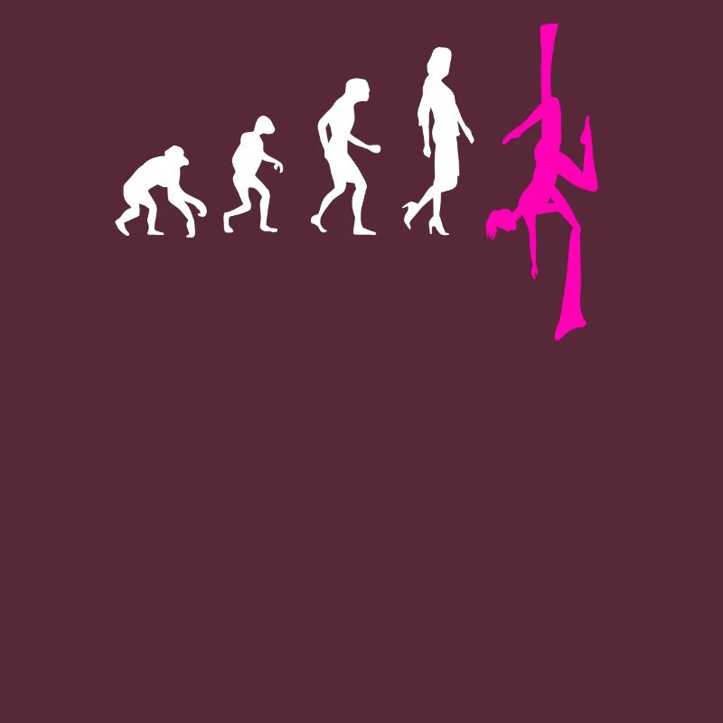 Aerial Silk Evolution - Aerial Circus