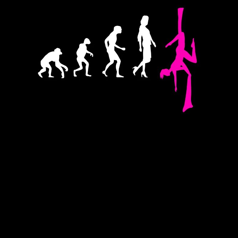 Aerial Silk Evolution - Aerial Circus