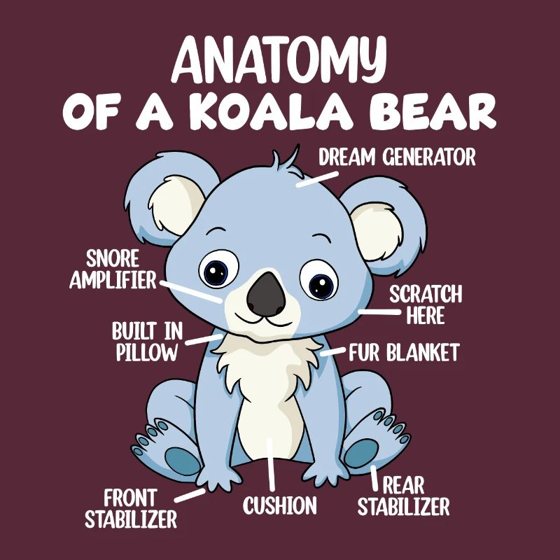 Anatomie eines Koala-Bären