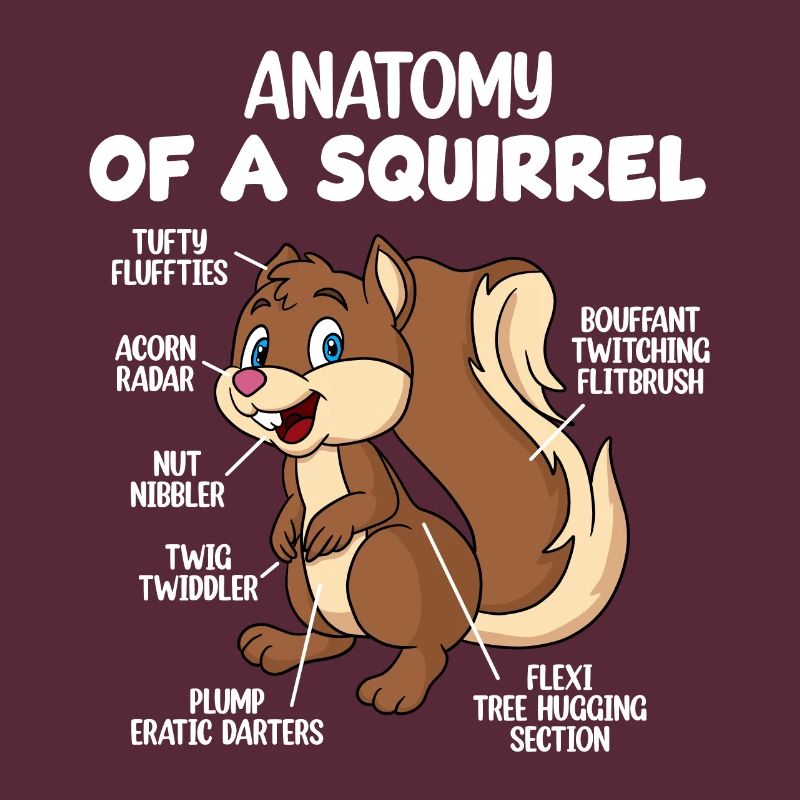 Anatomie eines Eichhörnchens