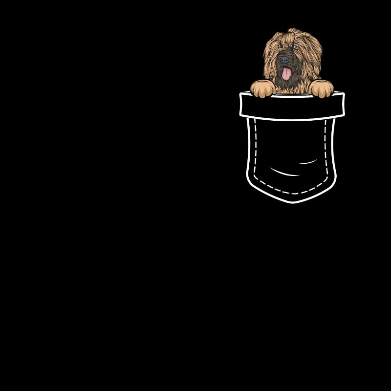 Briard Geschenk Hunde