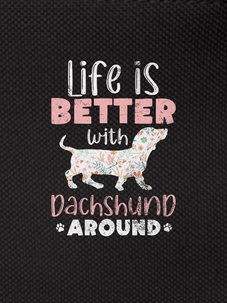 Dachshund