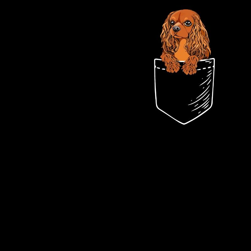 Rubis Cavalier King Charles Spaniel