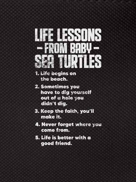 Turtle