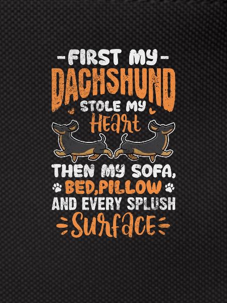 Dachshund
