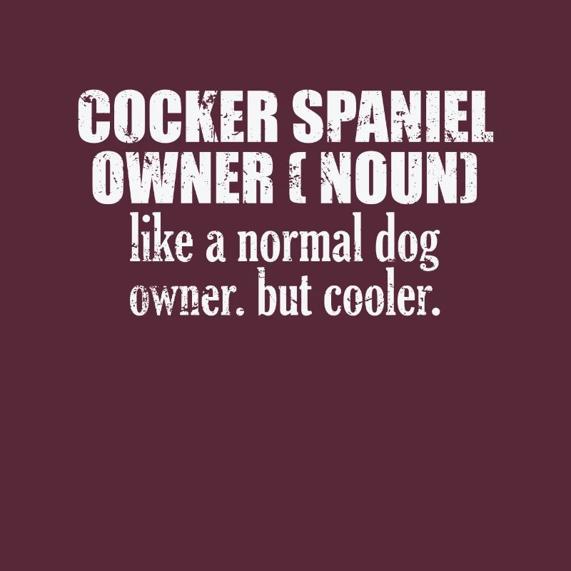 Cocker Spaniel Owner cooler than a normal Dog