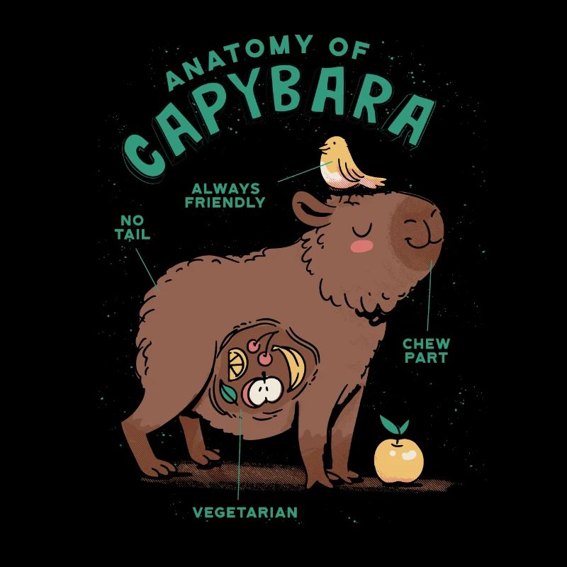 Anatomie Eines Capybara Süßes Capybara