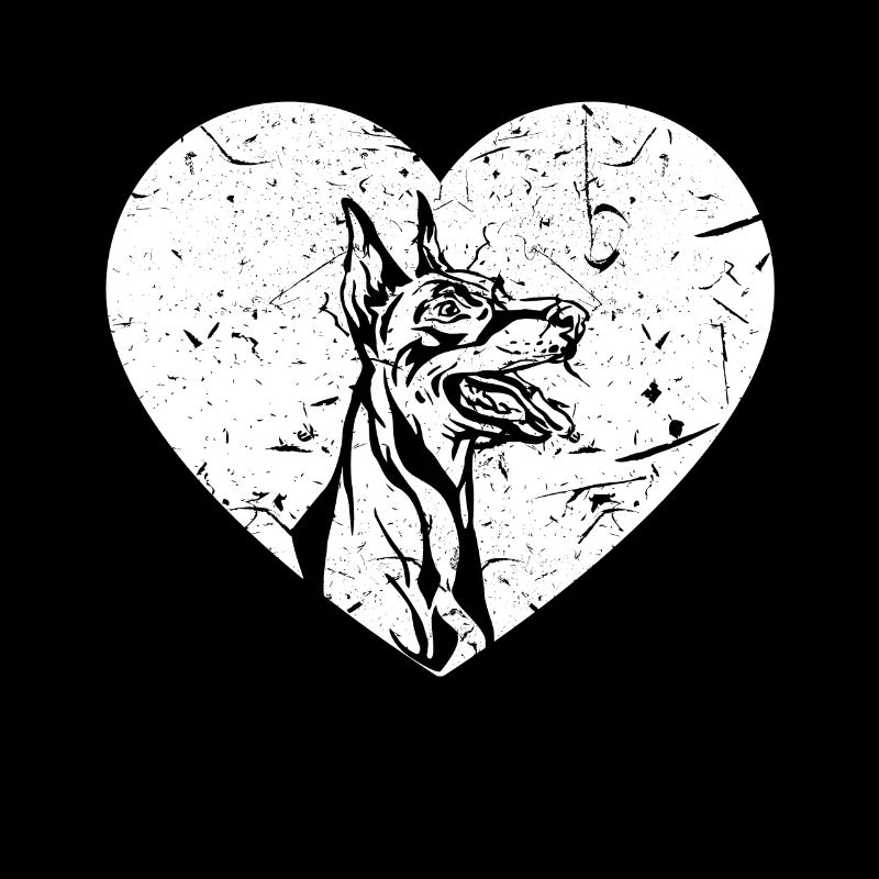 Doberman Pinscher