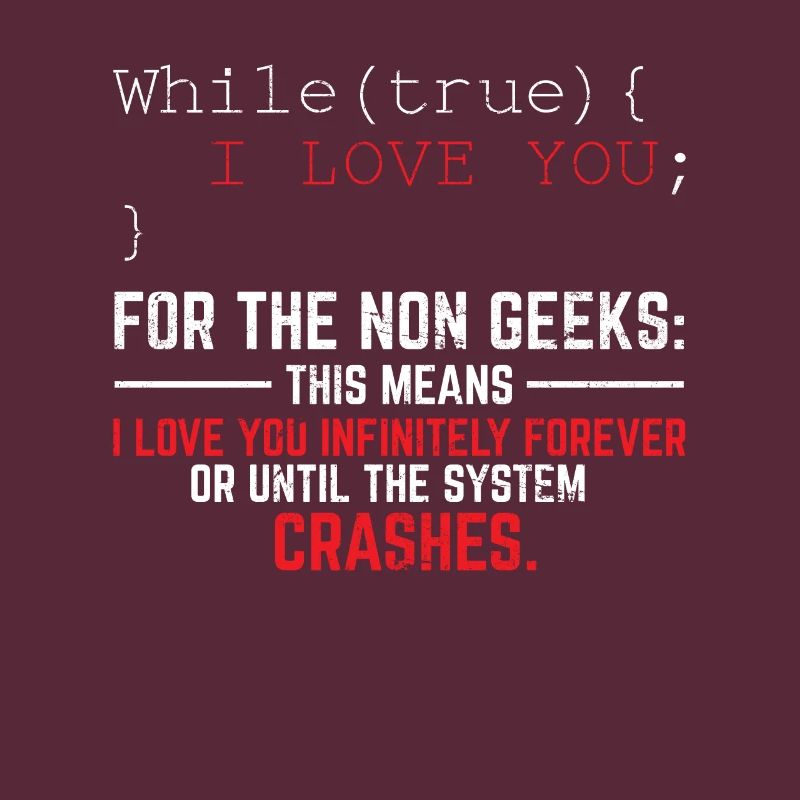 Funny Geek Lover Software Engineer Programmer Deve