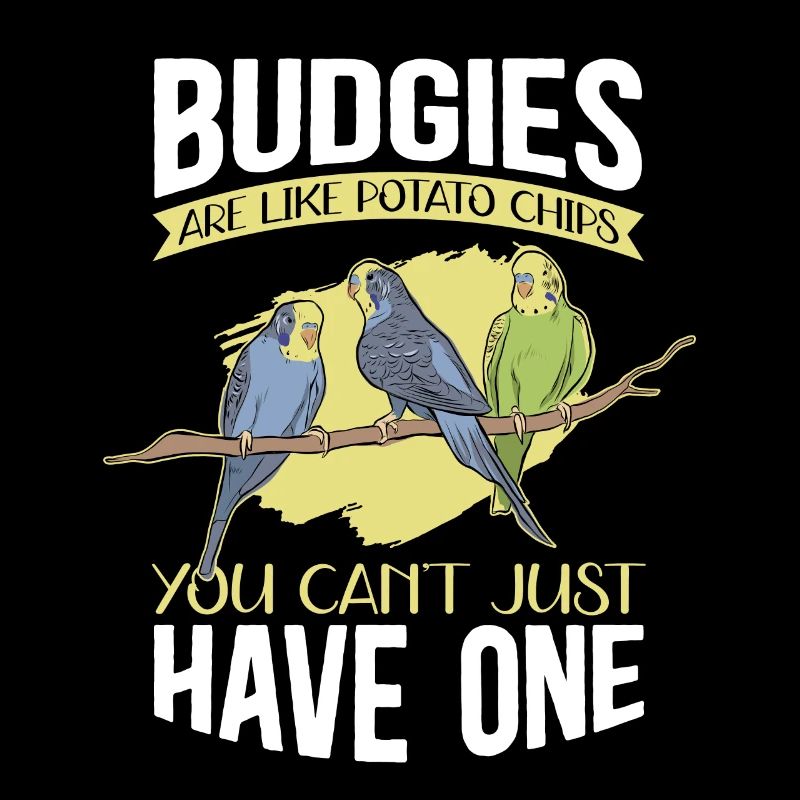 Cadeau de perruche du propriétaire de Budgerigar