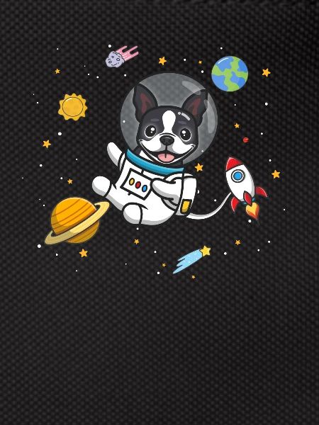 Boston Terrier