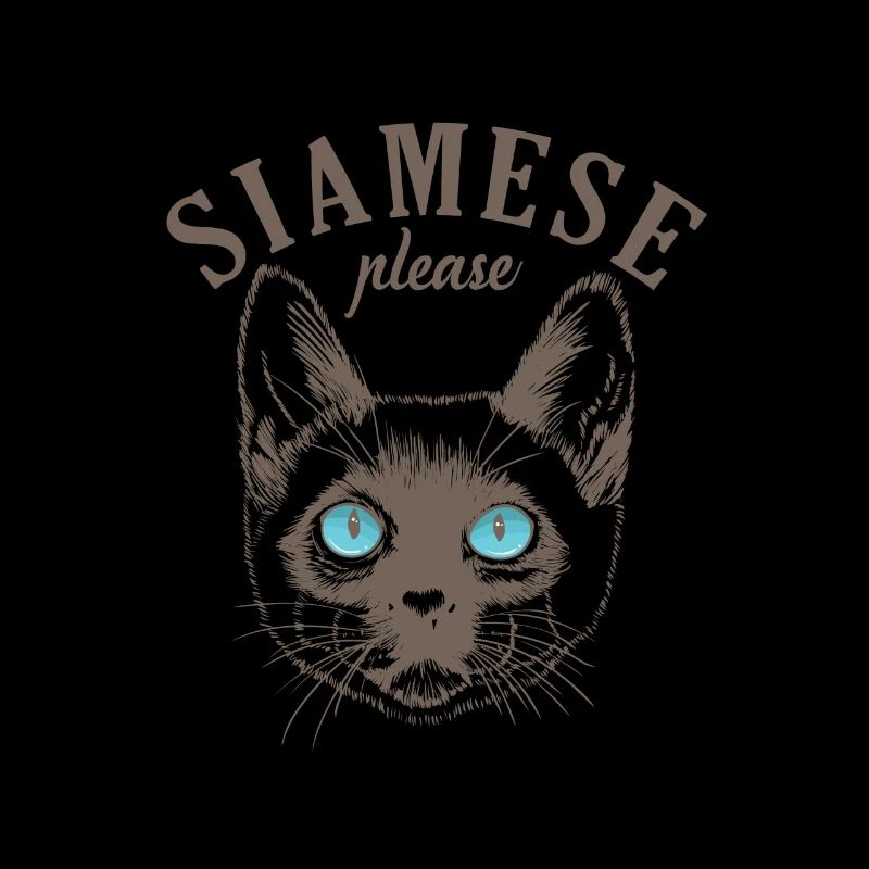 Siamese Cat please Pet Cat Breed