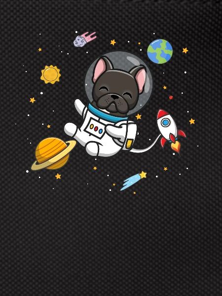 Black French Bulldog