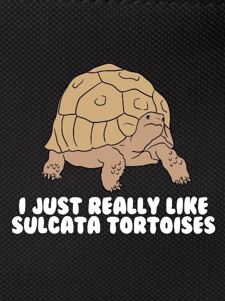 Sulcata turtles