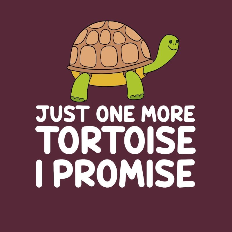 Nur noch eine Schildkröte, versprochen