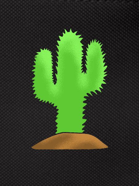 Cactus Garden