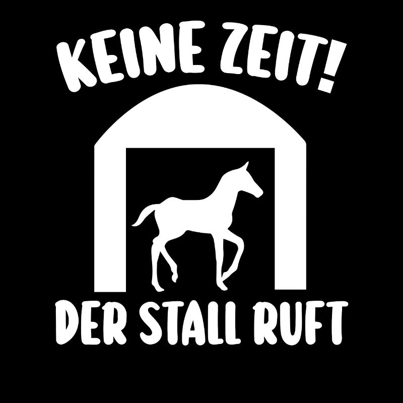 Reiten Reiter Pferd Pferde