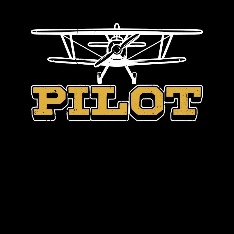 Pilot Leichtflugzeug Privatflugzeug Kleinflugzeug