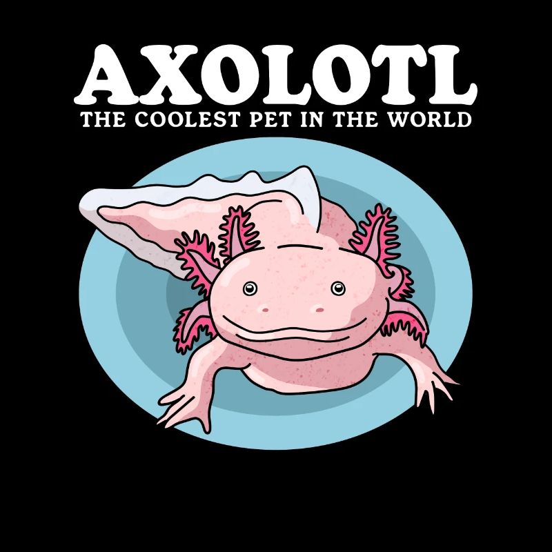 Axolotl Amphibiens à queue Axolotls Cadeau