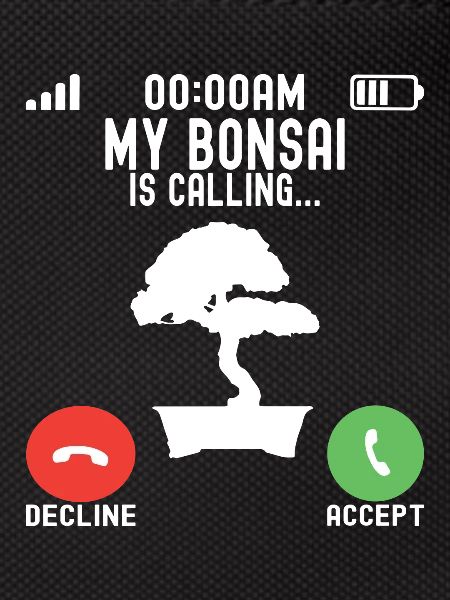 Bonsai tree Bonsai