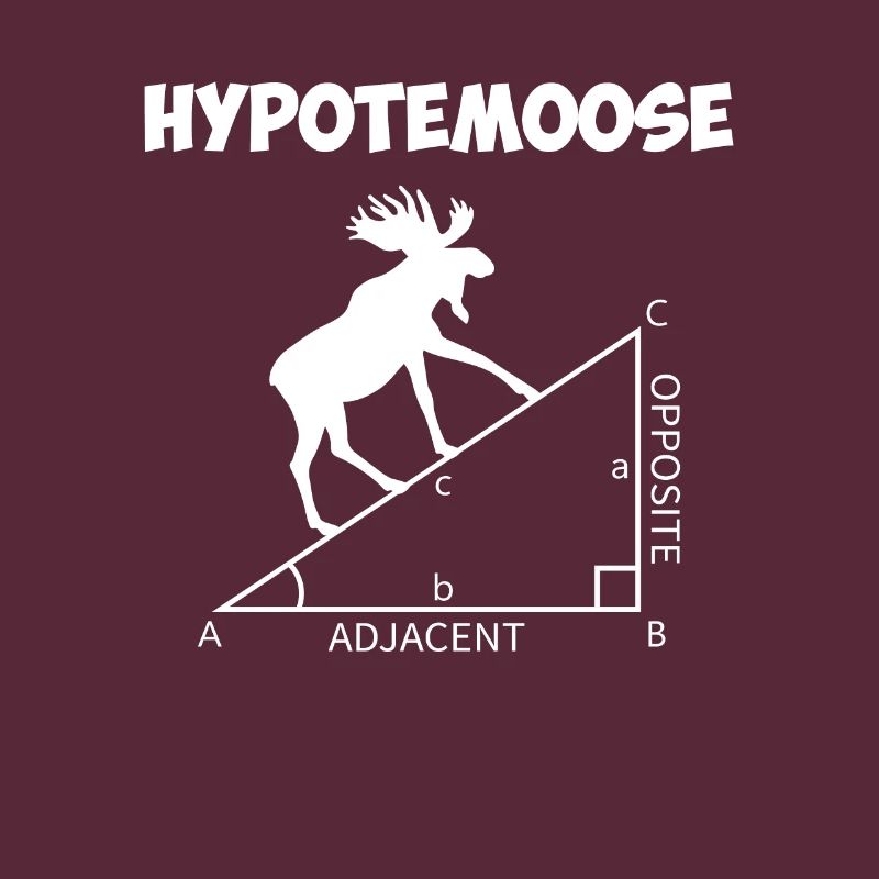 hypotemoose, math teacher hypotemoose