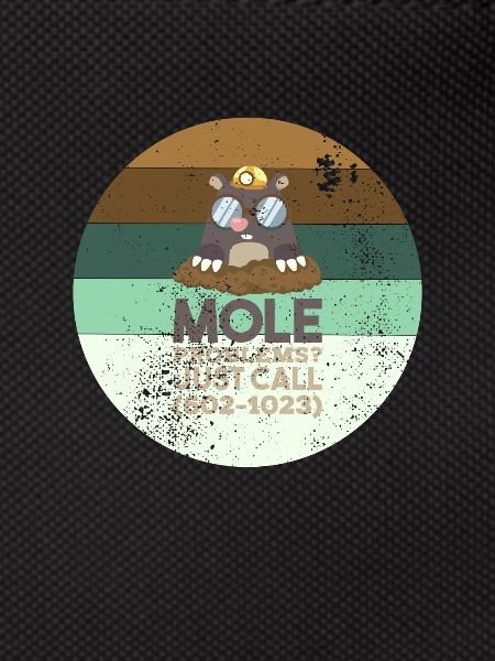 Chemistry Mole Problems