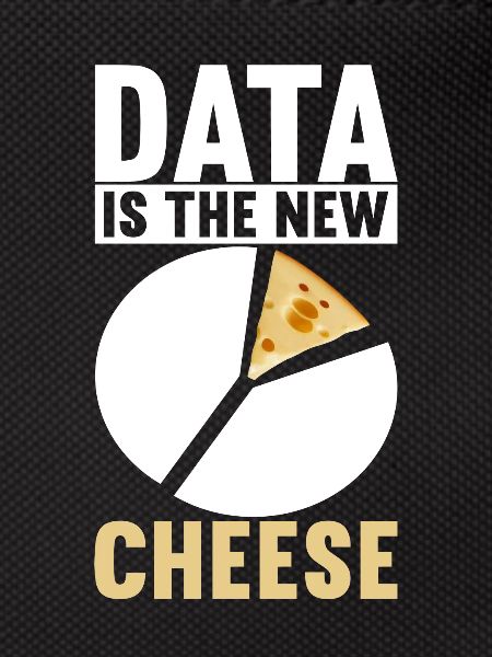 Data Scientist Data Analyst