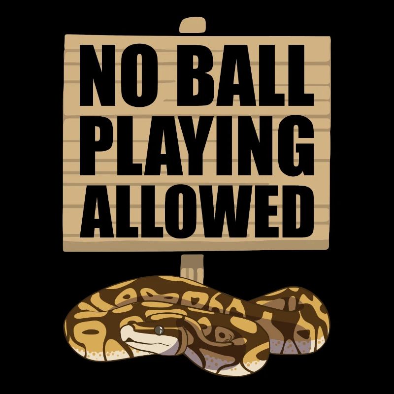 Funny Ball Python Snake