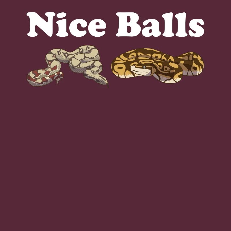 Funny Ball Python Snake