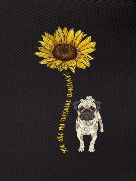 Pug