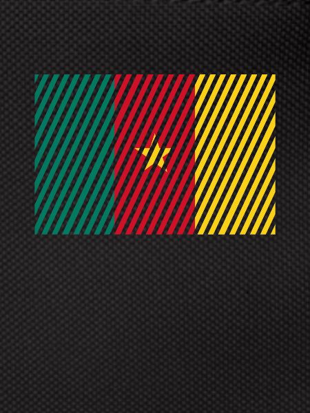 Cameroon flag