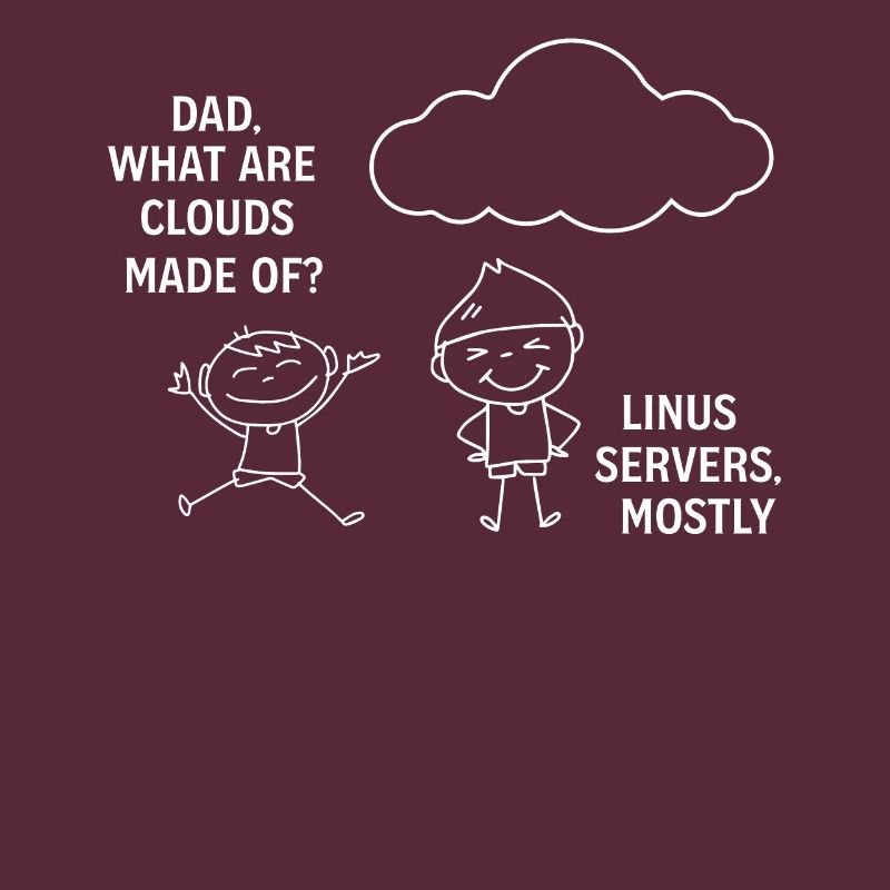 Programming Software Developer Computer Engineer