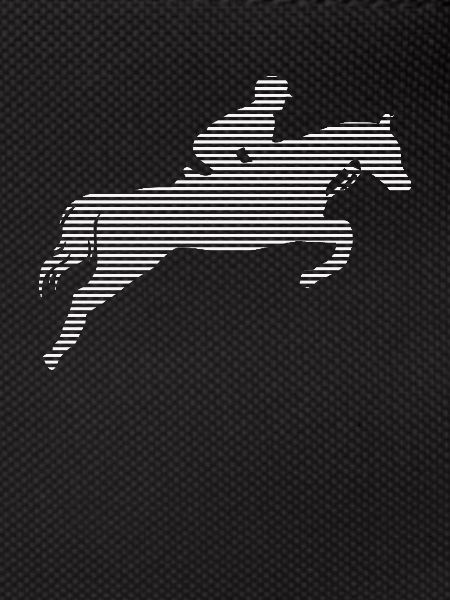 Equitation