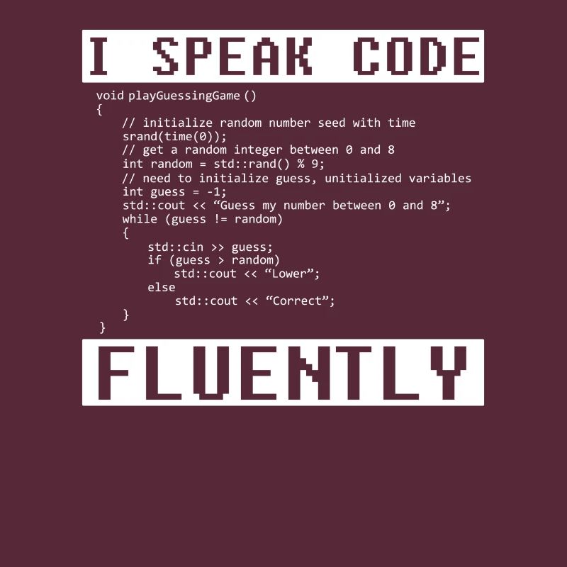 Developer Coder Programmer Funny