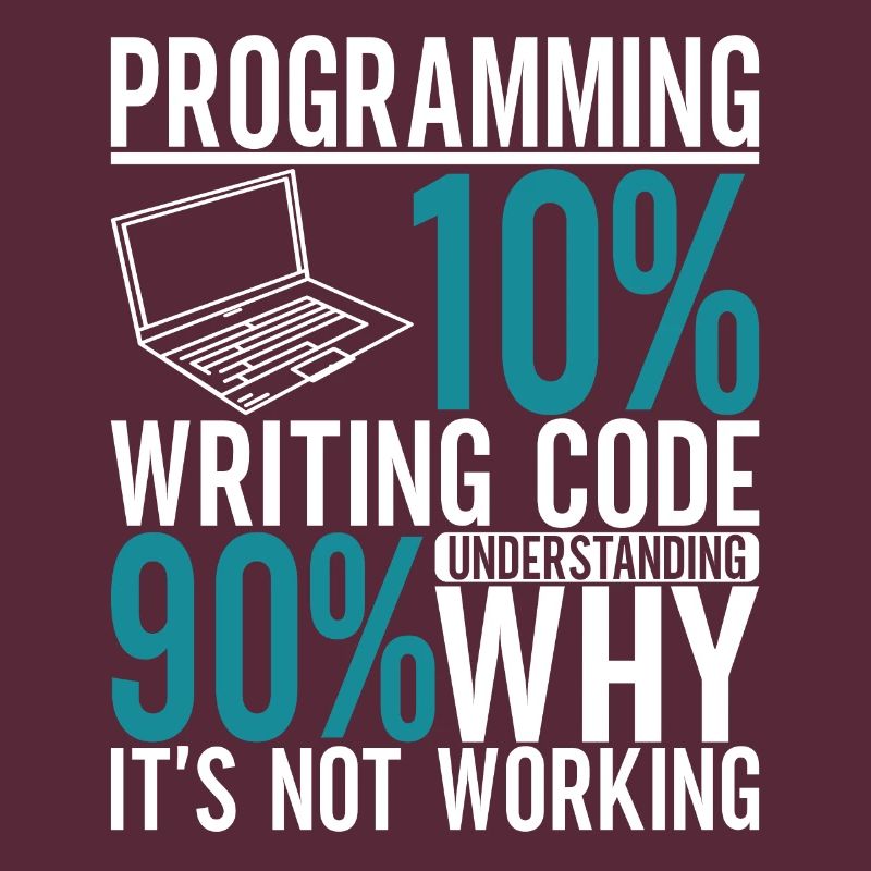 Programmer Computer Scientist