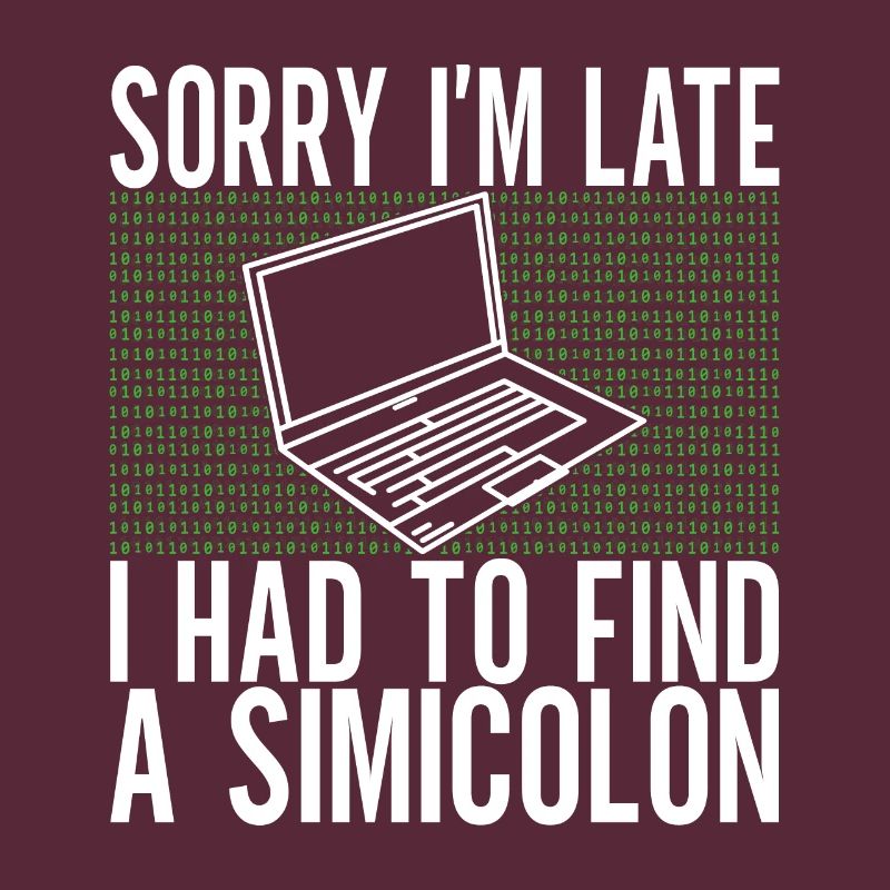 Programmierer Informatiker