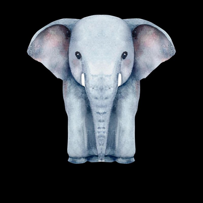 Watercolour Elephant