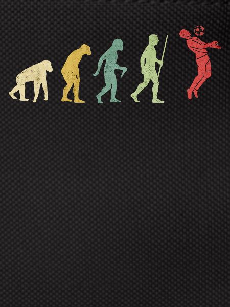 Soccer Player Evolution