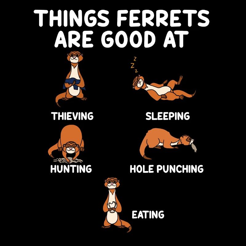 Ferret