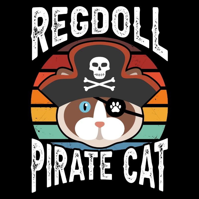 Regdoll pirate cat