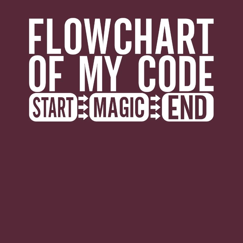 Programmierer Informatiker