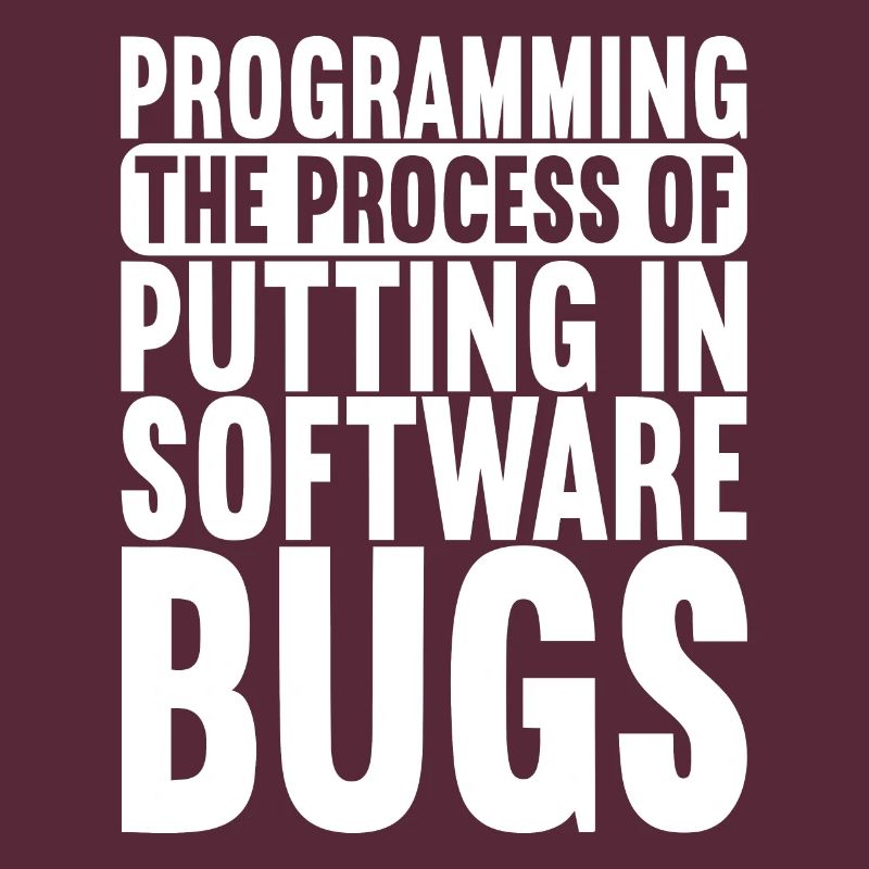 Programmierer Informatiker