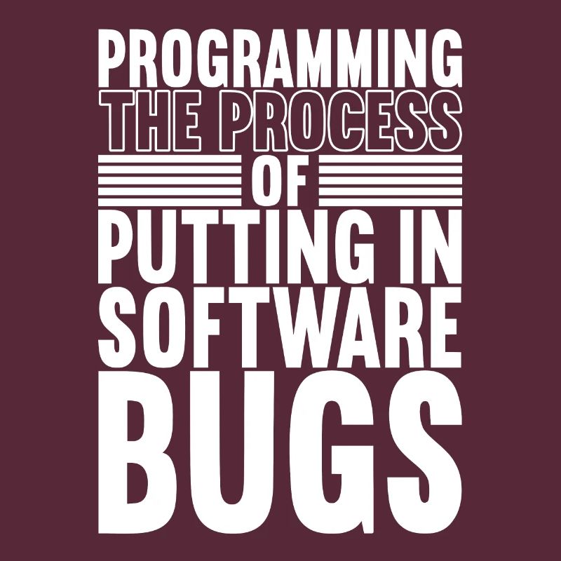 Programmierer Informatiker